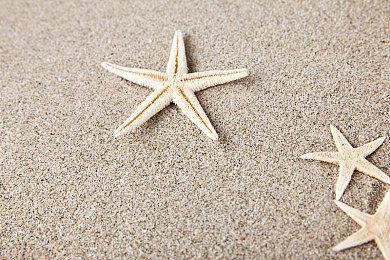 GOG喜加一：《小鸡刺客：重装上阵》免费领取